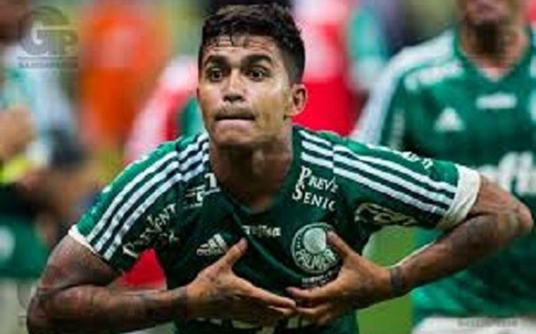 Dudu decide contra o Botafogo, e Palmeiras fica mais perto do título